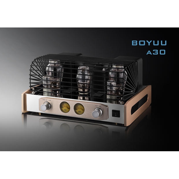 Amplificador de tubo Boyuu A30 2A3 BoyuuRange Reisong lámpara 2A3C hecha a mano de un solo extremo amplificador integrado