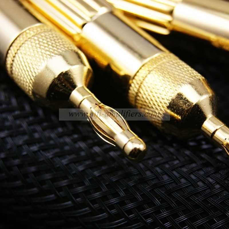 Choseal LA-5101 6N OCC Audiophile HIFI Speaker Cable 24K Gold-plated Banana Plug Top Level Speaker Cable Top Class Cable 2.5m