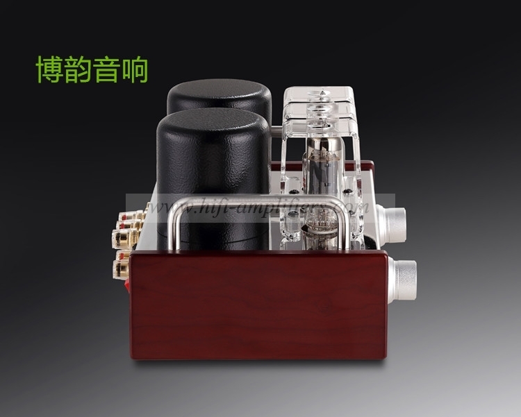 REISON BOYUU A2 6P14 EL84 Amplificador de tubos de vacío Amplificador de tubo HiFi de un solo extremo