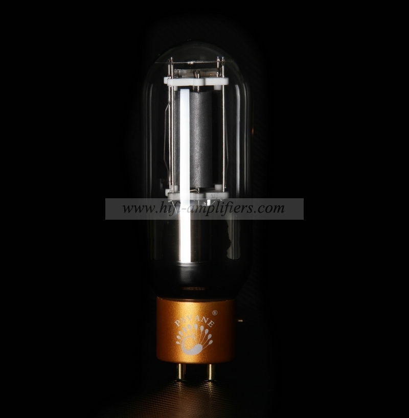 PSVANE tube à vide 845-TII MARK 845 édition Collector série T Kit damplificateur de tube Hifi Audio Valve correspondance de précision