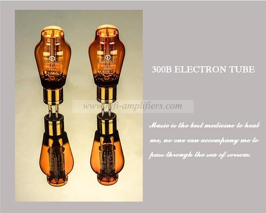 Yaqin MS-500B 300B Ламповый усилитель класса A Несимметричный ламповый усилитель 300BN Hi-Fi аудиоусилитель