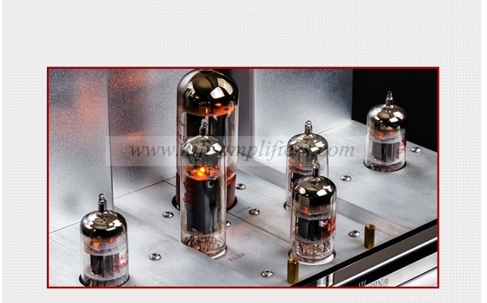 YAQIN B-2T Vacuum Tube Pre-amplifier Lampe Preamp With Remote