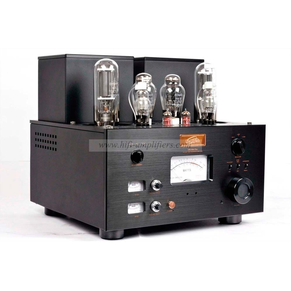 Línea magnética LM-219IA PLUS amplificador de potencia de tubo de vacío de alta gama Clase A 300B 845 de un solo extremo