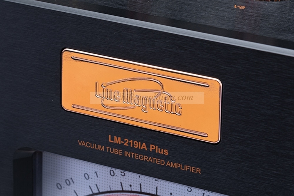 Línea magnética LM-219IA PLUS amplificador de potencia de tubo de vacío de alta gama Clase A 300B 845 de un solo extremo
