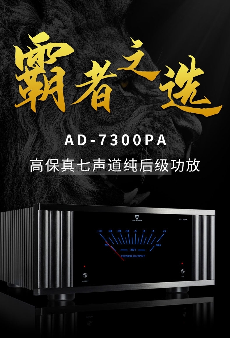 ToneWinner AD-7300PA+ amplificador de potencia pura de 7 canales, voltímetro de puntero, amplificador de potencia para cine en casa, 310W/8ohm