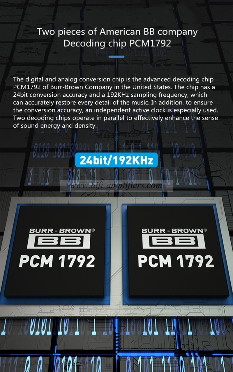 Shengya CD-1 Fully Balanced Laser Phonograph PSM1792 Decoding Chip Transistor or Tube Output