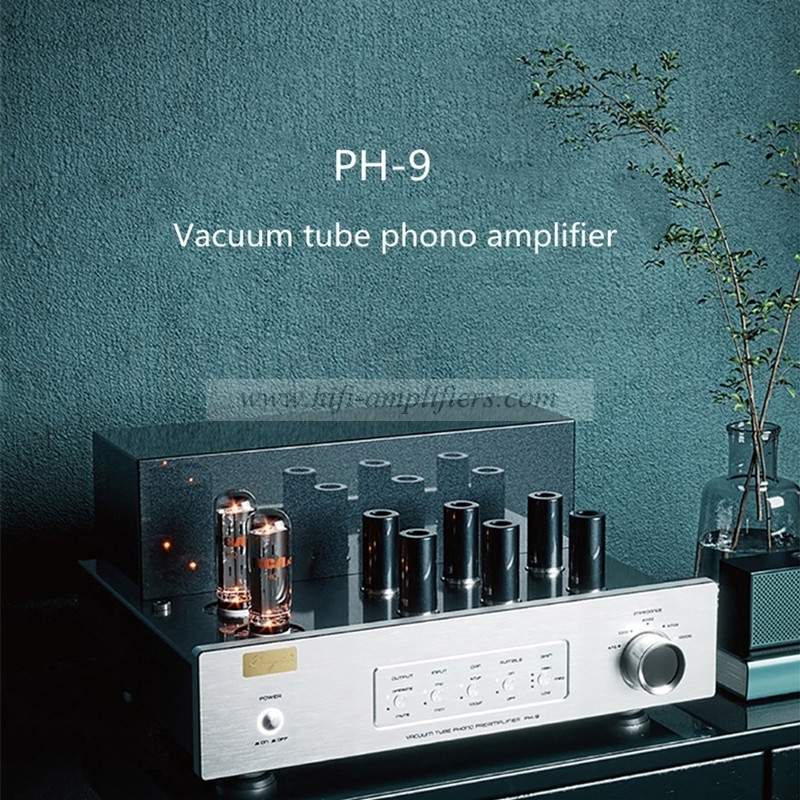 Cayin PH-9-amplificador de phono con tubo de vacío HIFI, ganancia MC, ajuste de tres velocidades, compatible con MM/MC, dos grupos de entrada de phono