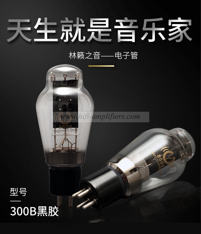 LINLAI 300B Tube à vide remplacer Gold Lion Shuguang Psvane JJ Golden Lion 300B Tube électronique paire assortie