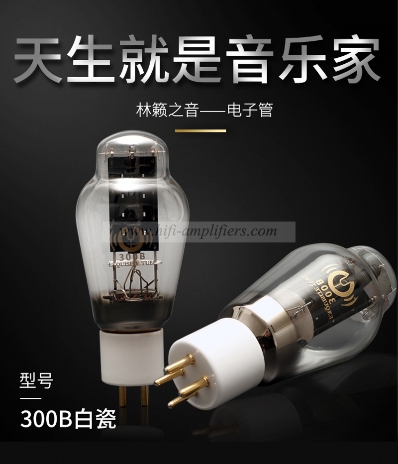 LINLAI 300B Tube à vide remplacer Gold Lion Shuguang Psvane JJ Golden Lion 300B Tube électronique paire assortie