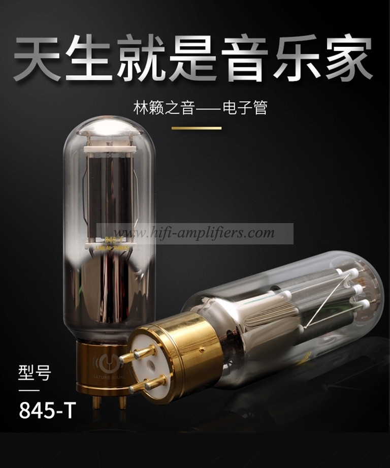 LINLAI 845-T 845T tubo de vacío reemplaza 845 WE845 E845 A845 845-TII válvula de Audio HIFI tubo electrónico par combinado